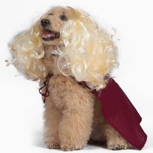 NWT Hocus Pocus Sarah Sanderson Dog Costume S